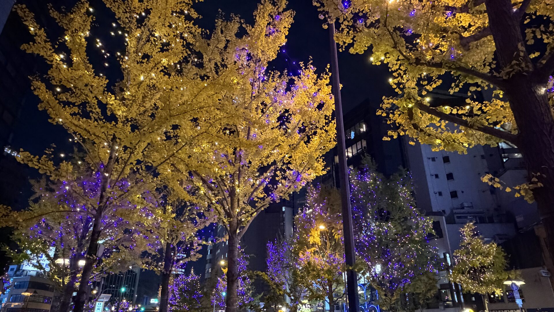 iPhoneで撮影した写真