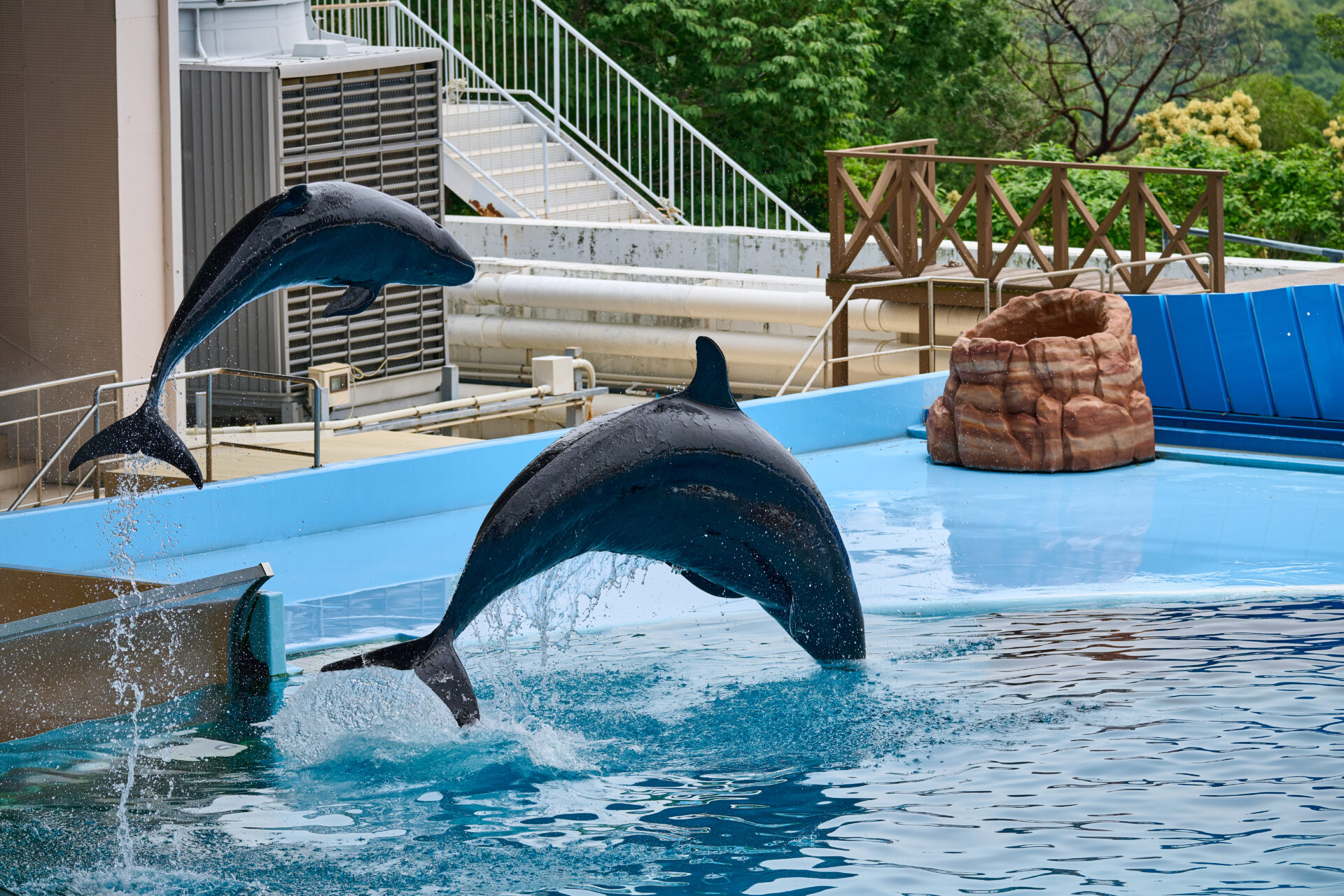 一瞬の動きも切り取ることができます
